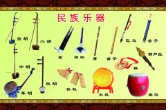 為了考大學(xué)學(xué)樂(lè)器，除了學(xué)鋼琴外，還有哪些可以學(xué)？