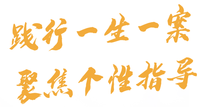 精英華唐藝術(shù)高中一生一案